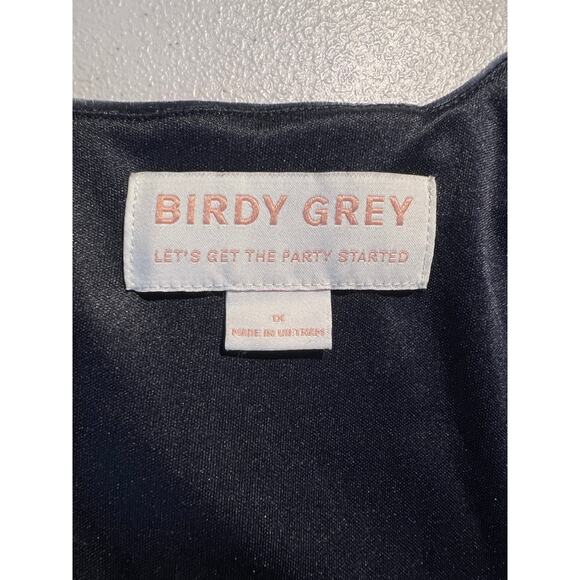 Birdy Grey Dress Alex Velvet Maxi Gown Steel Blue Bridesmaid Formal Wedding - Picture 8 of 9